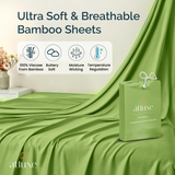Premium Viscose Bamboo Sheet Set - SAGE GREEN